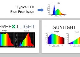 PERFEKTLIGHT SPD versus Sunlight