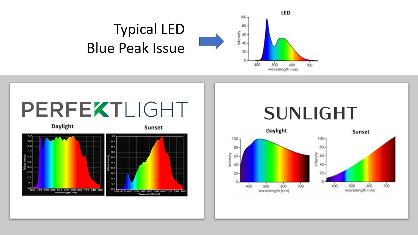 PERFEKTLIGHT SPD versus Sunlight